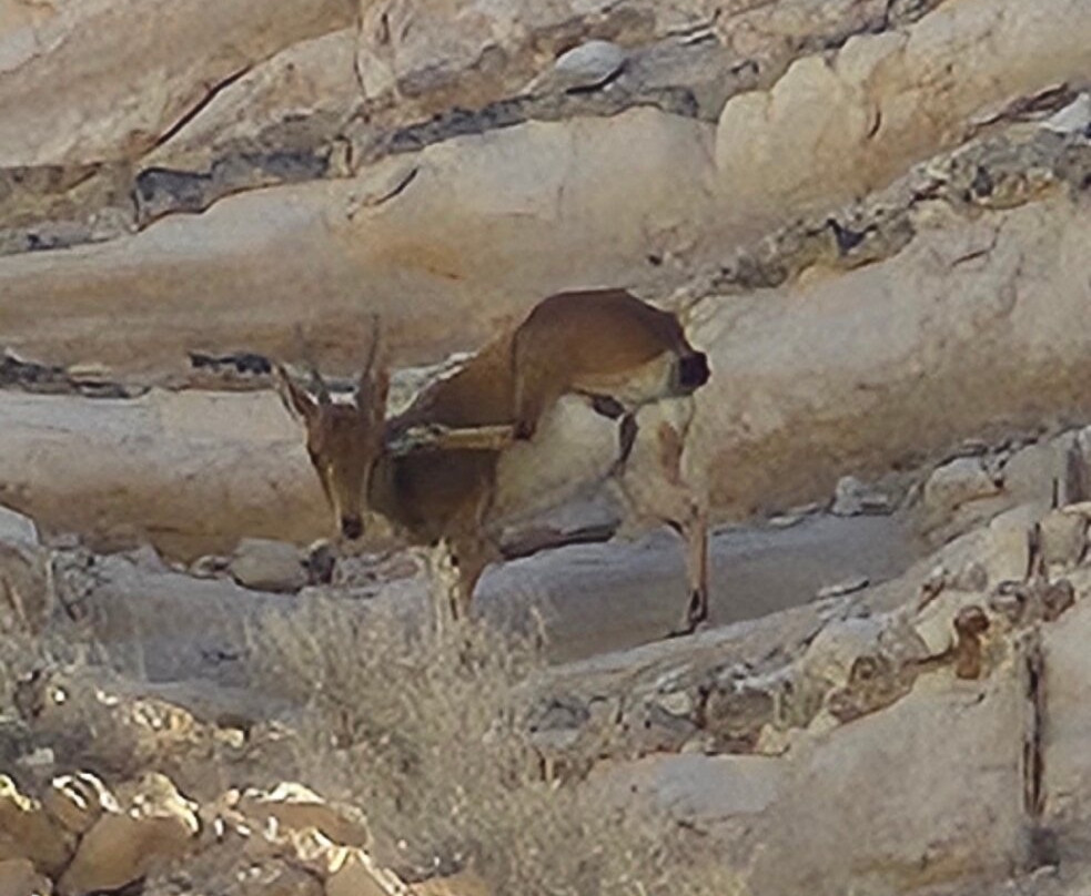 Zin River-贝尔谢巴必去景点