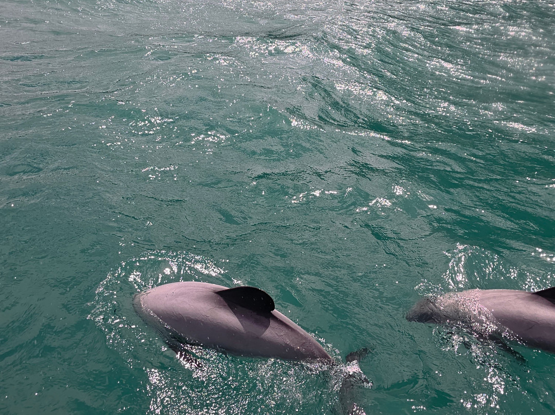 生态海洋水上行-阿卡罗阿必去景点