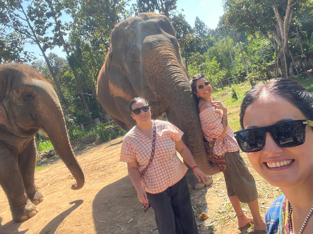 Maerim Elephant Sanctuary-夜林必去景点