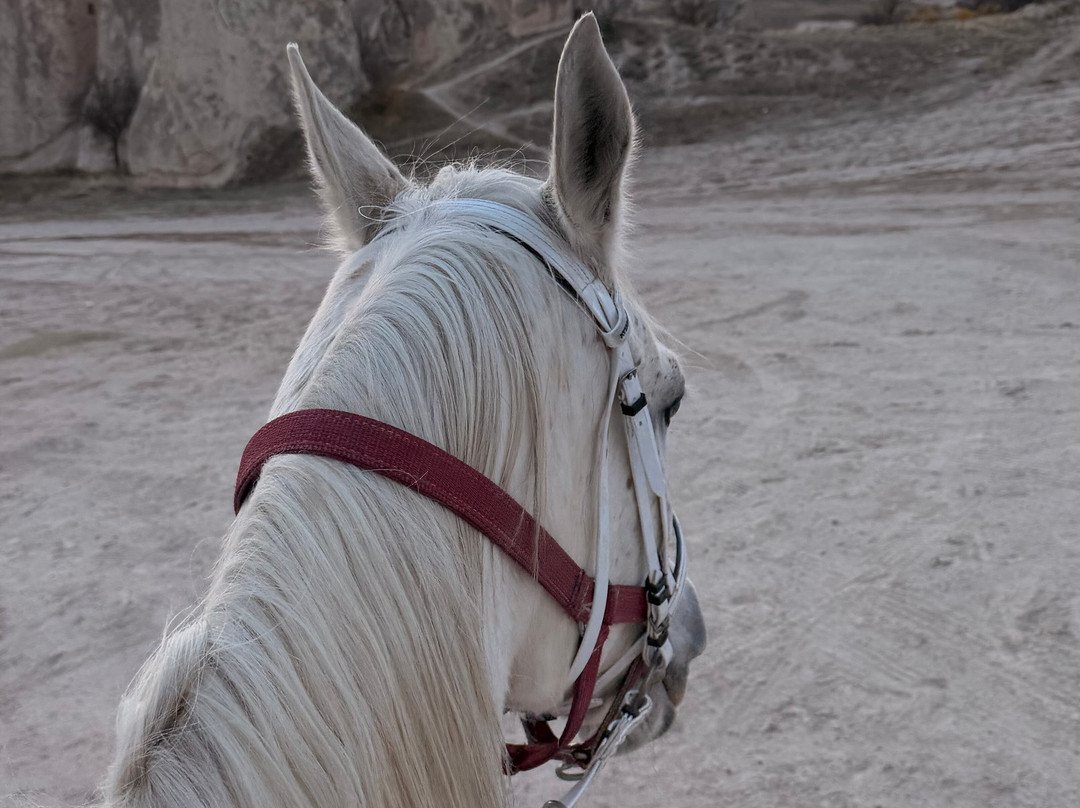Moonlight Horse Ranch-格雷梅必去景点