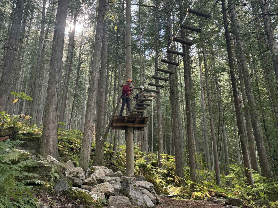 Skytrek Adventure Park-雷夫尔斯托克必去景点