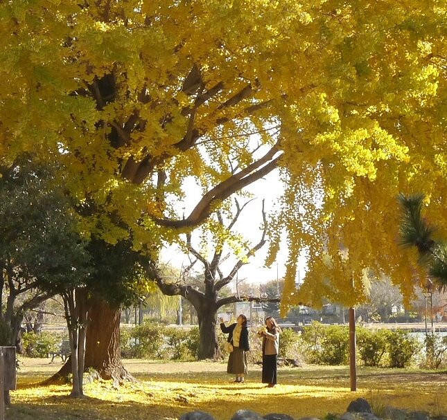 Water Castle Park-行田市必去景点