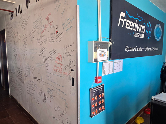 Freediving World Center-沙姆沙伊赫必去景点