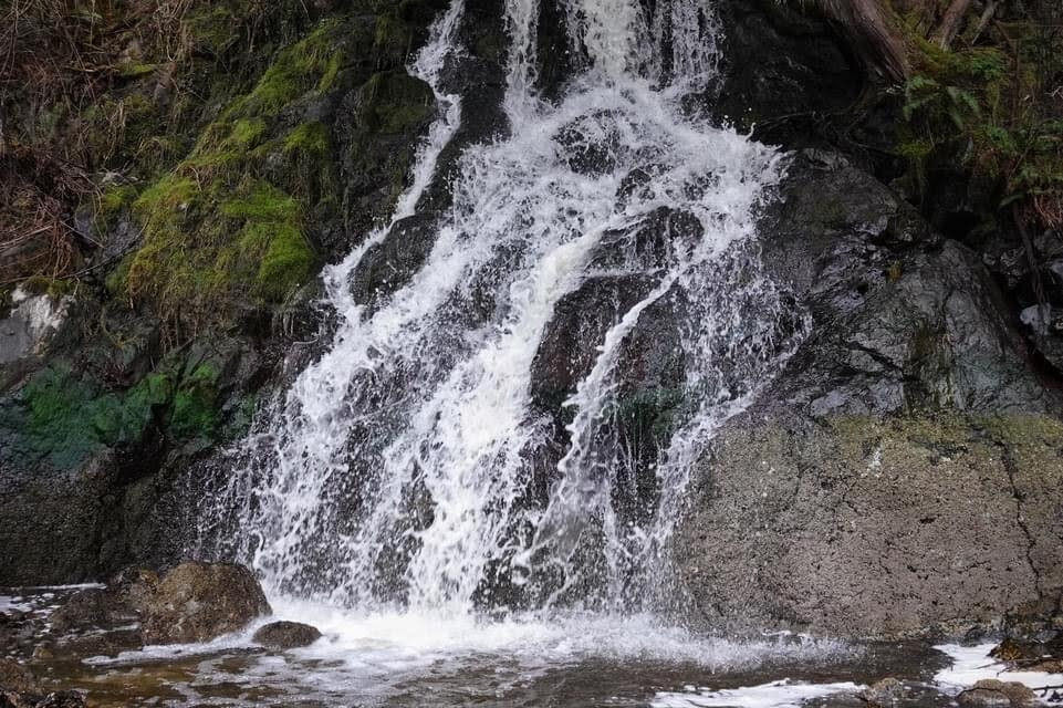 Judd Cove Preserve-Orcas Island必去景点