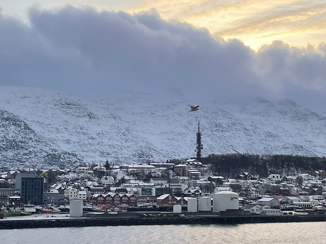 Havila Voyages-卑尔根必去景点