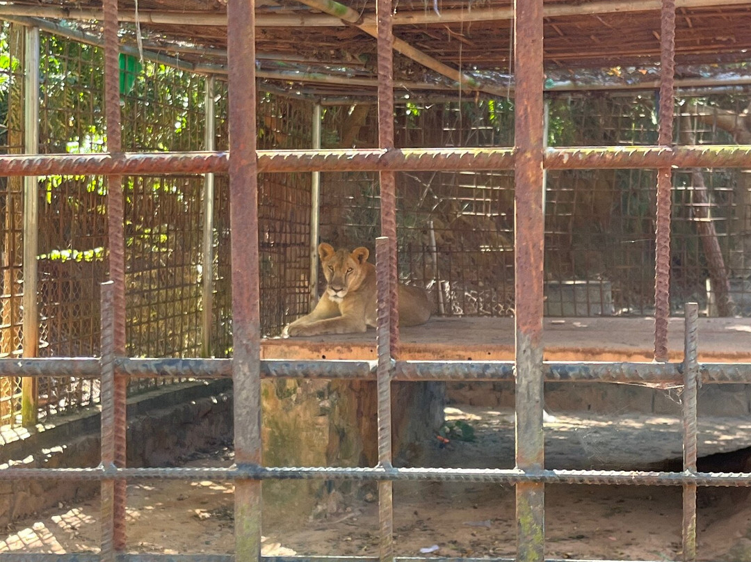 Tada Waterfalls-贡布必去景点