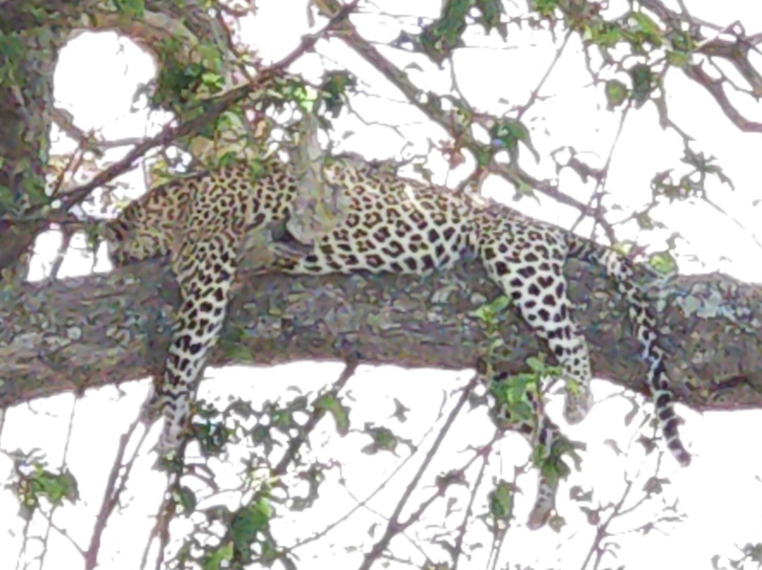 Tanzania-Experience-阿鲁沙必去景点