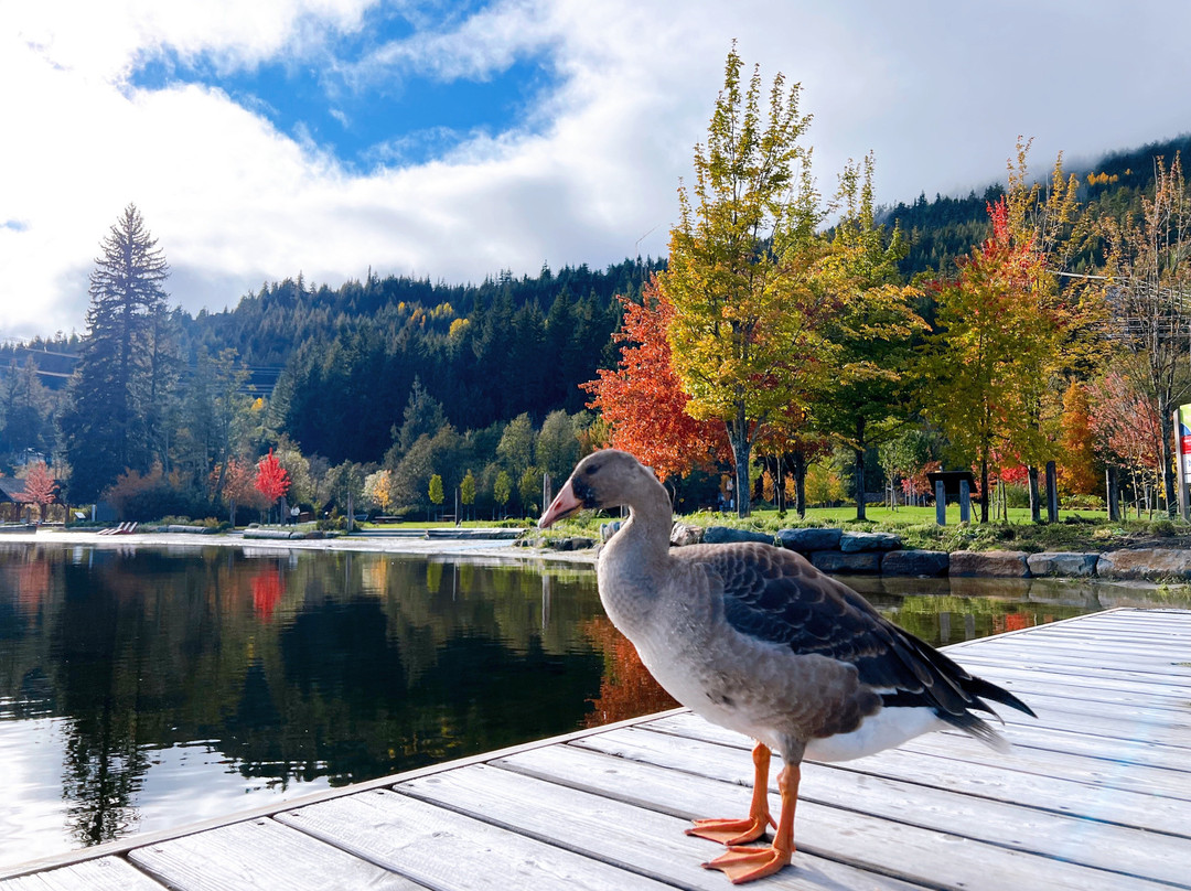 Rainbow Park-惠斯勒必去景点