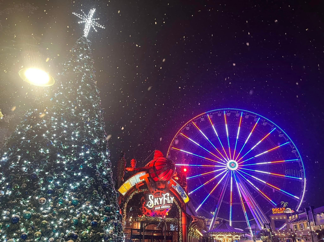 SkyFly: Soar America-皮金福奇必去景点