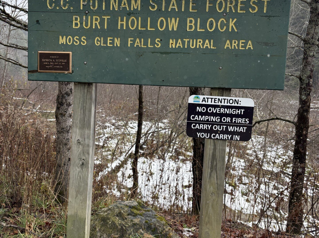 Moss Glen Falls-斯托必去景点