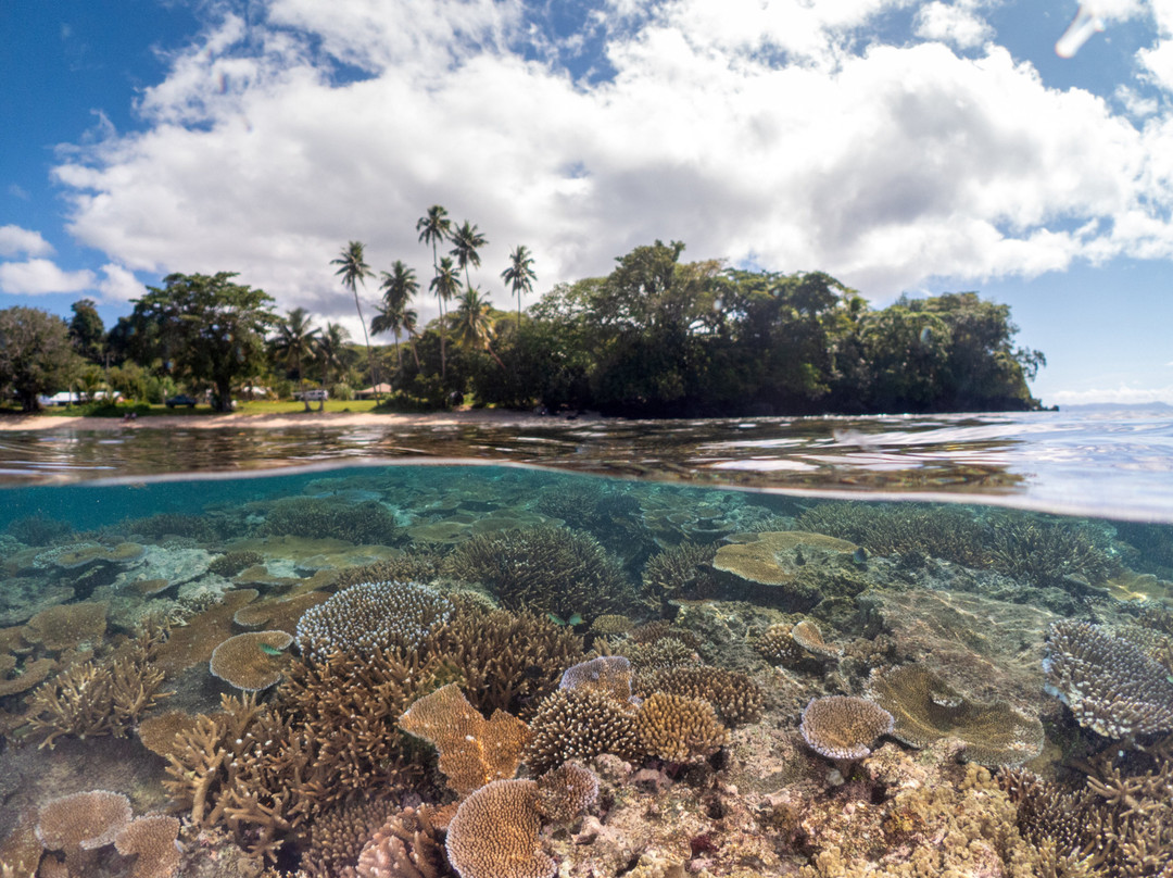 Reef Life Taveuni-马太必去景点