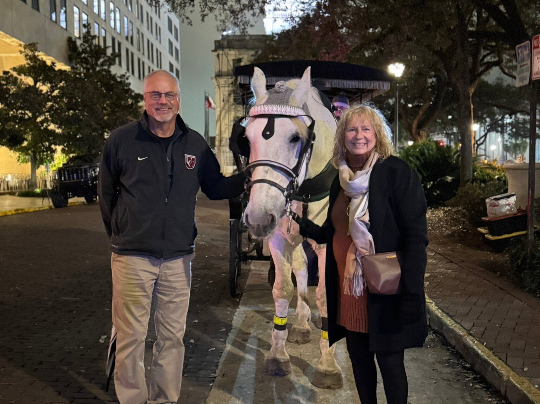 Savannah Carriage Tours-萨凡纳必去景点