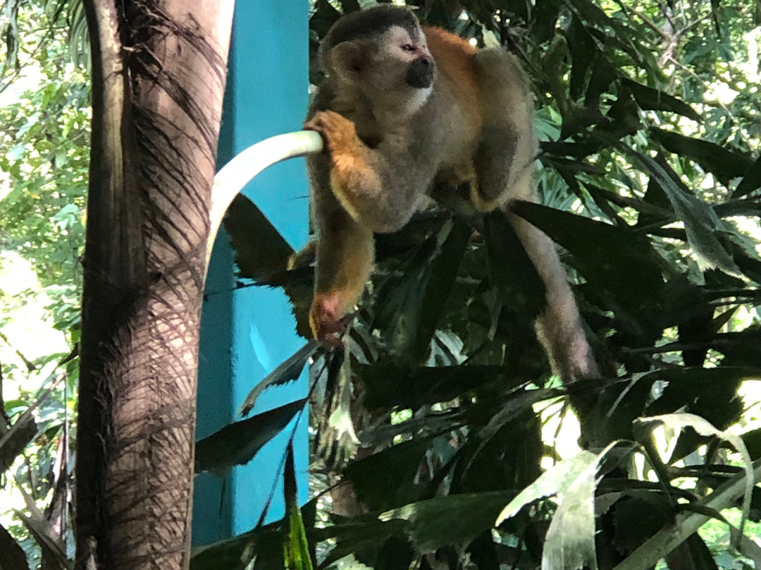 C. R. Referrals Travel-Atenas必去景点