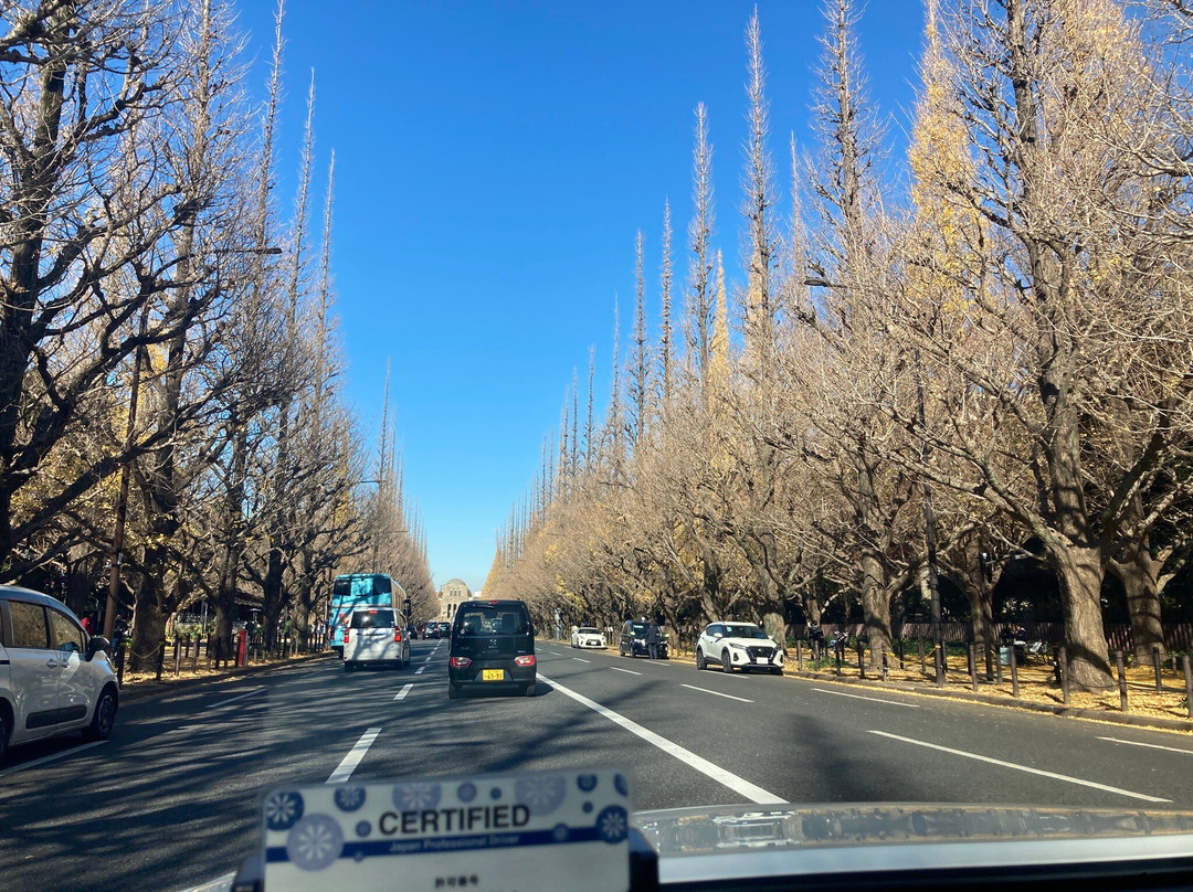 Jingu Gaien Ginkgo Tree-lined Street-港区必去景点