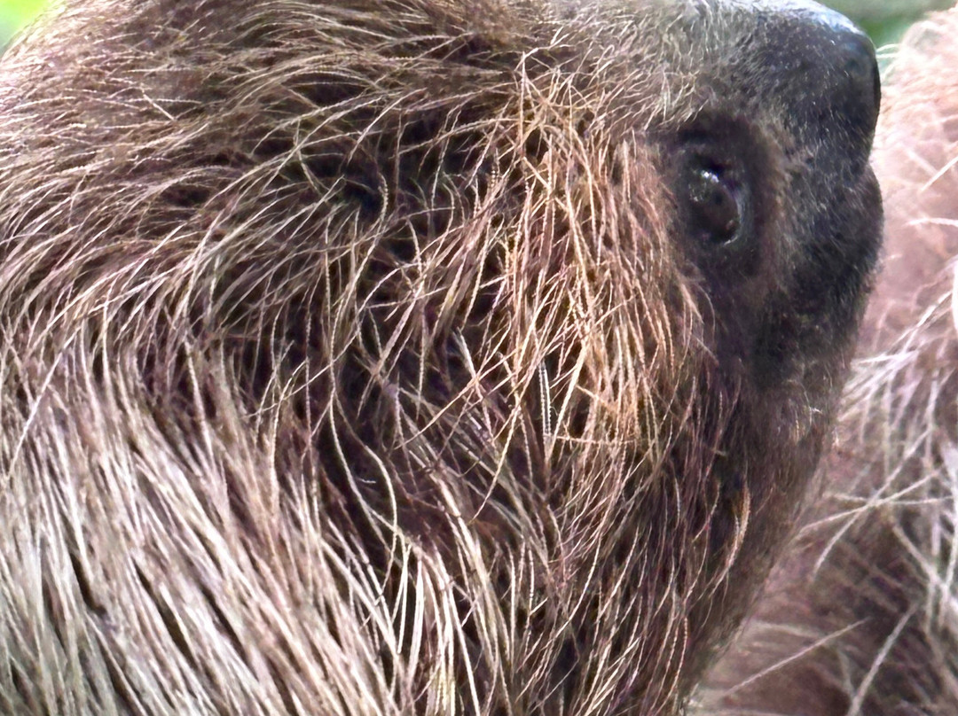 Fayla Tours Costa Rica-萨迪纳尔必去景点