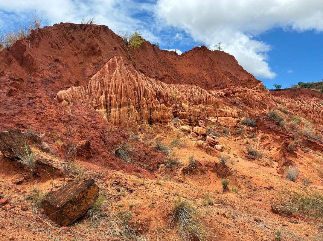 Tsingy Rouge Park-迪亚哥苏亚瑞必去景点