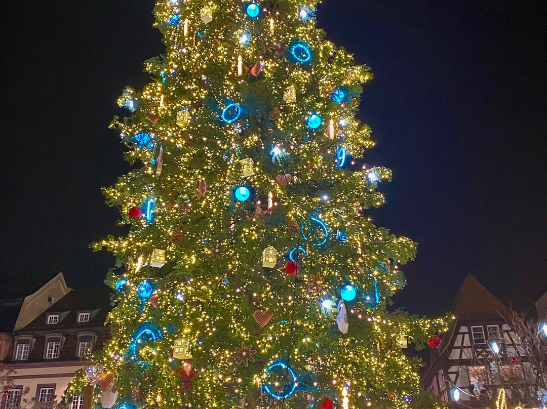 Christmas Market (Christkindelsmarik)-斯特拉斯堡必去景点