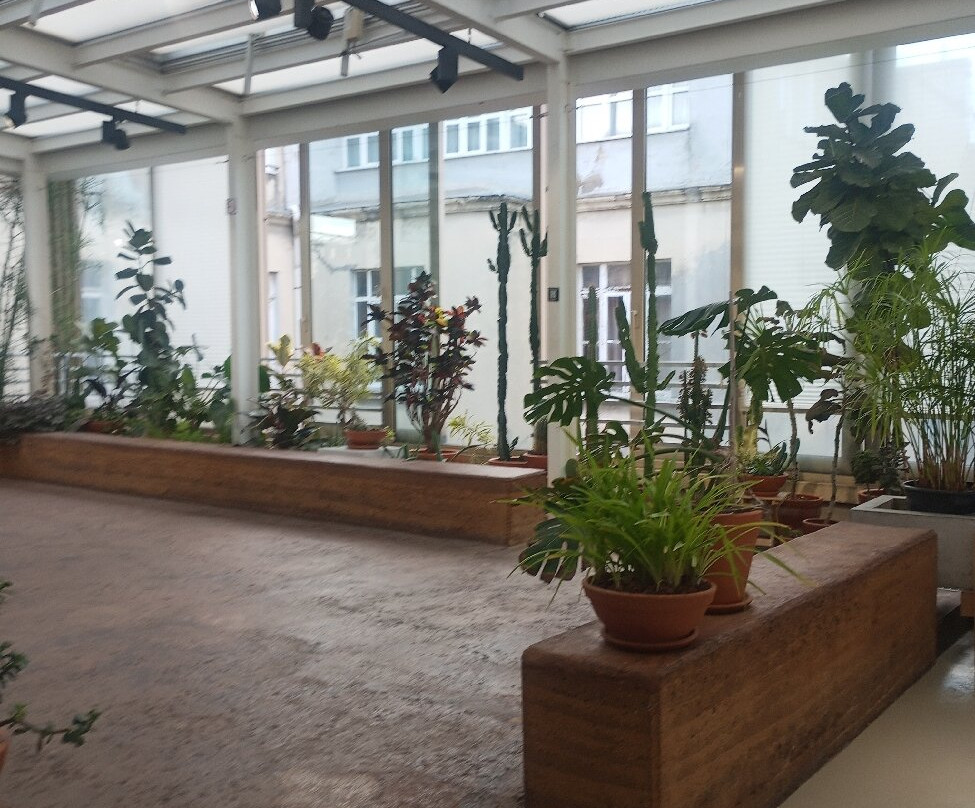 盐-伊斯坦布尔必去景点