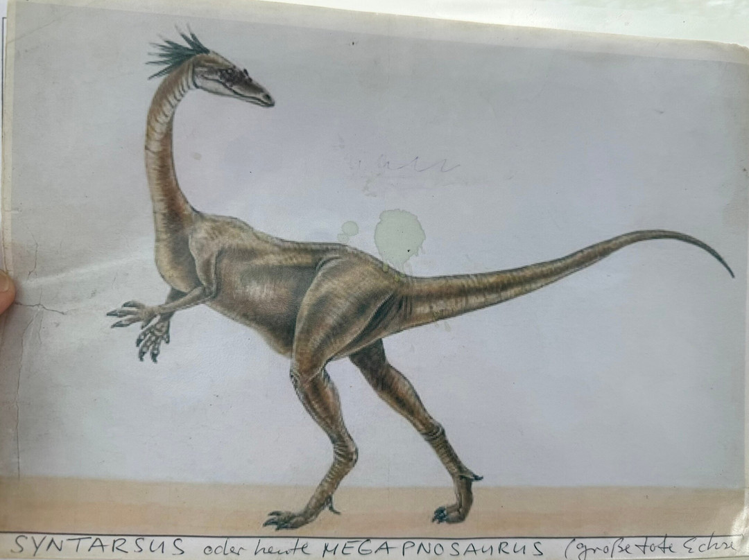 Dinosaur Tracks - National Monument NAMIBIA-Kalkfeld必去景点