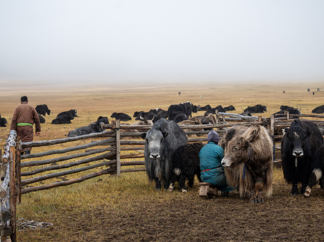 Azur Travel Mongolia-乌兰巴托必去景点