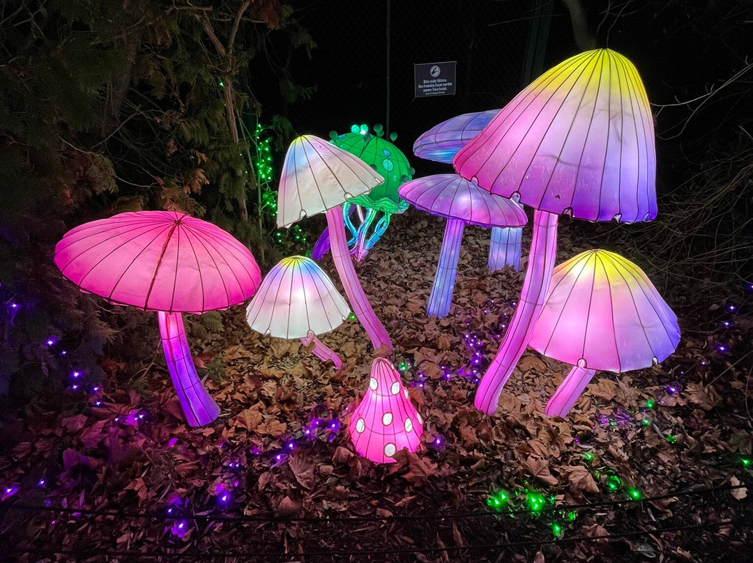 Serengeti-park Hodenhagen-Hodenhagen必去景点