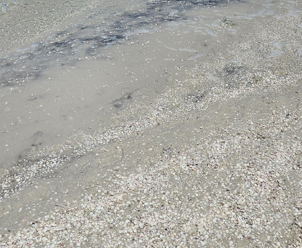 Ponta da Alcaira - Arubinha-阿拉伊阿尔港必去景点