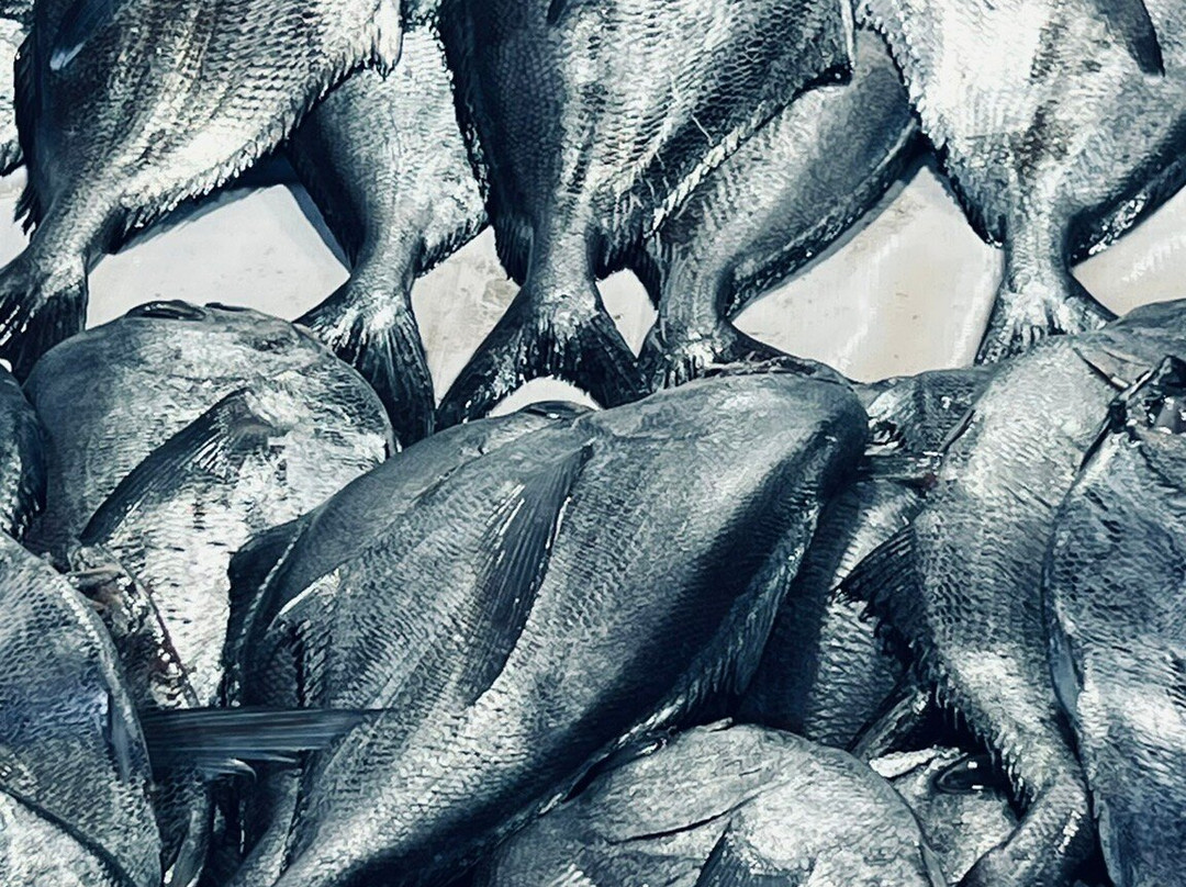 Caleta Portales-瓦尔帕莱索必去景点