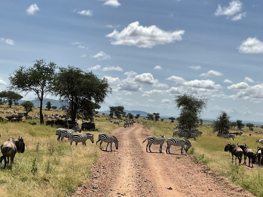 African Horizons-内罗毕必去景点