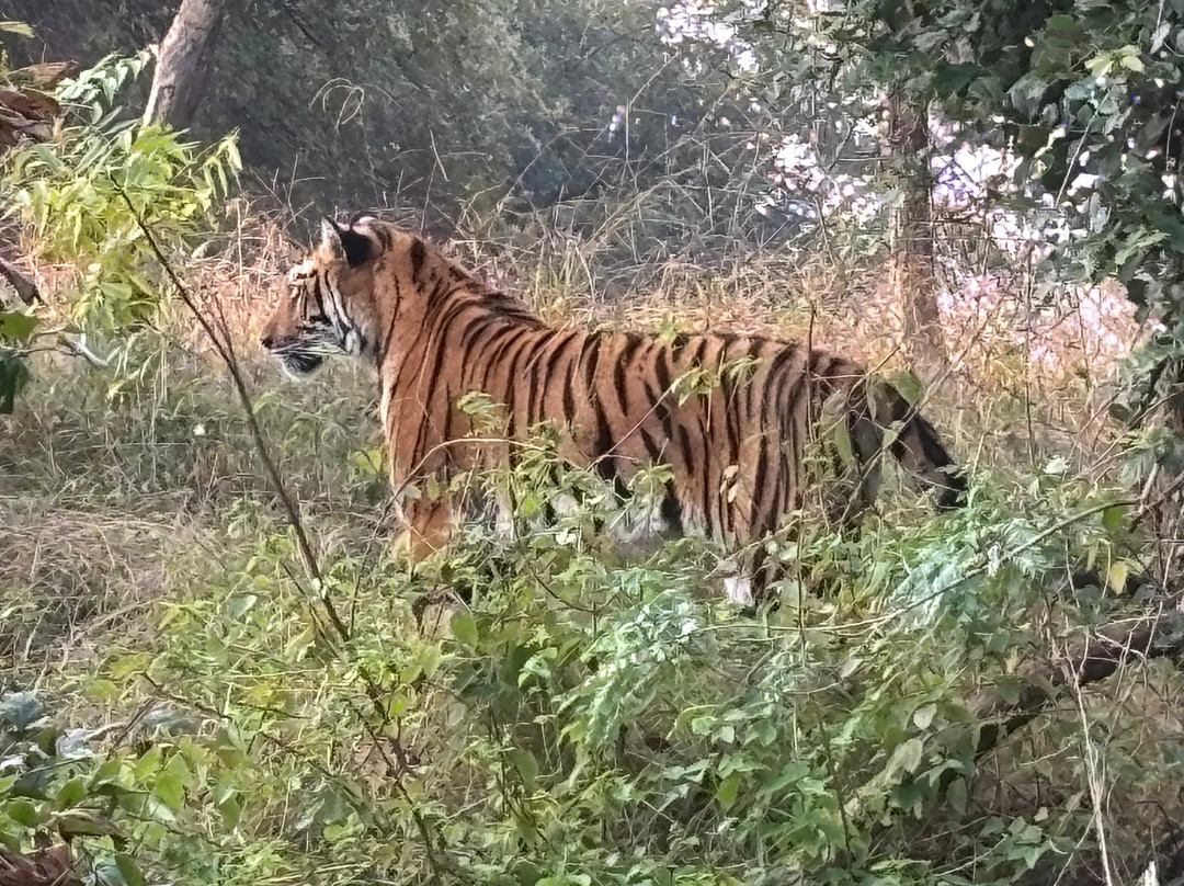 Kanha National Park-Mandla必去景点