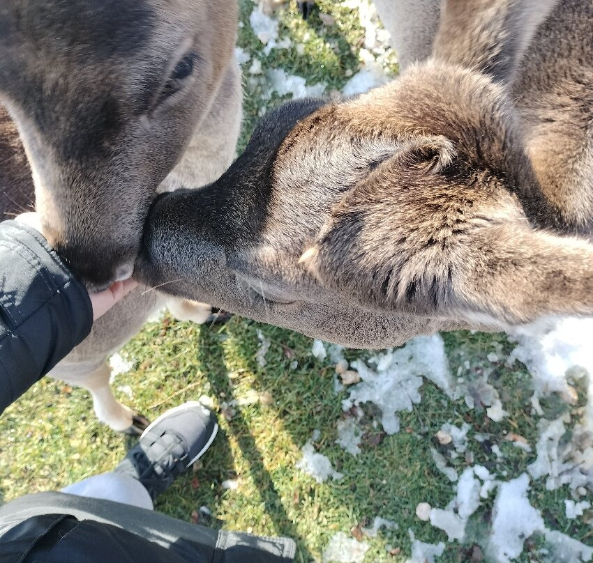 Centro Visita Daini-Scanno必去景点