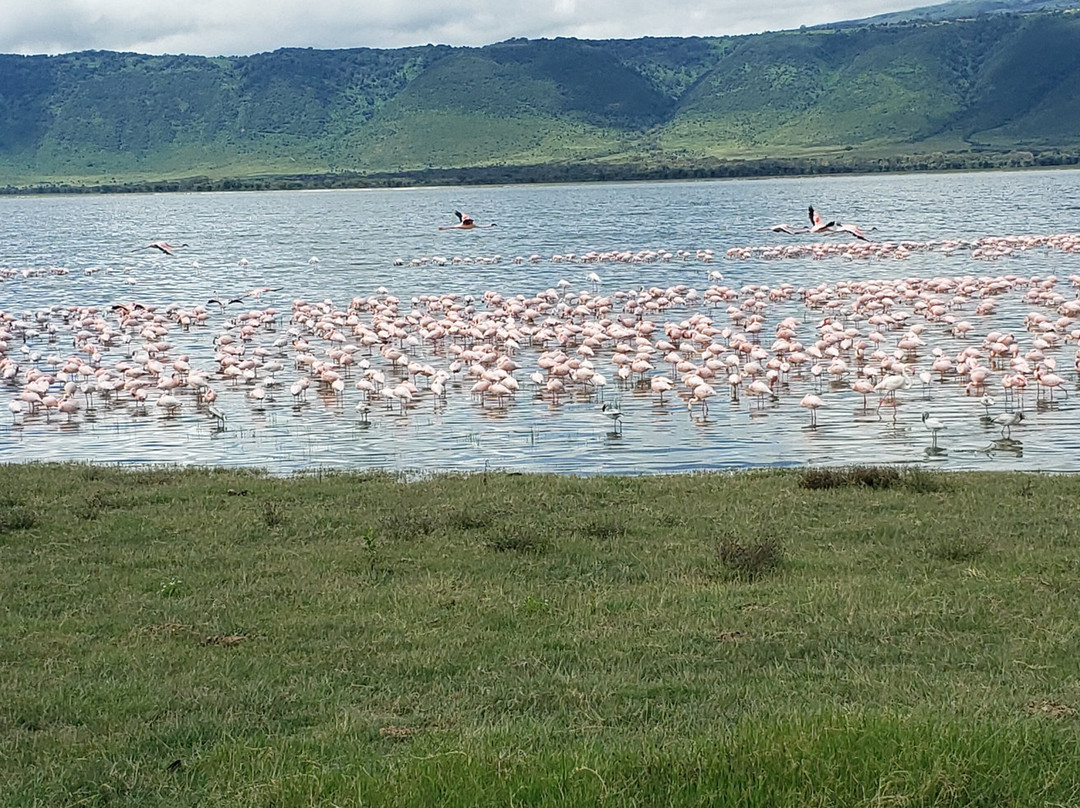 Mamnana Adventures-Olasiti必去景点