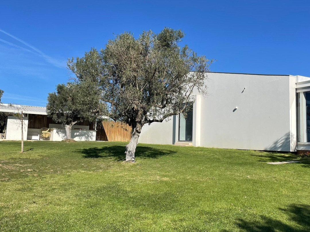 Quinta Do Canhoto-阿尔布赞拉必去景点