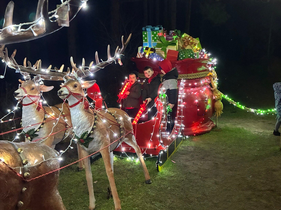 Pembrey Country Park & Beach-Burry Port必去景点