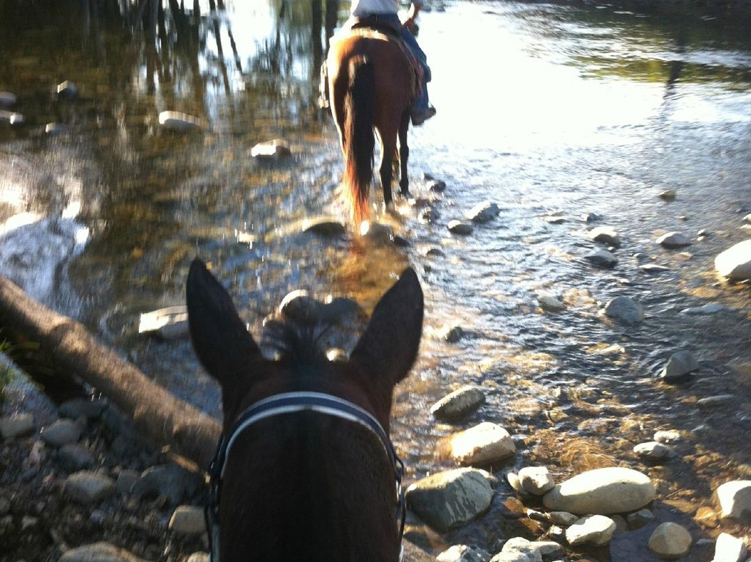 Goldies Place Rainforest Bed and Breakfast主图