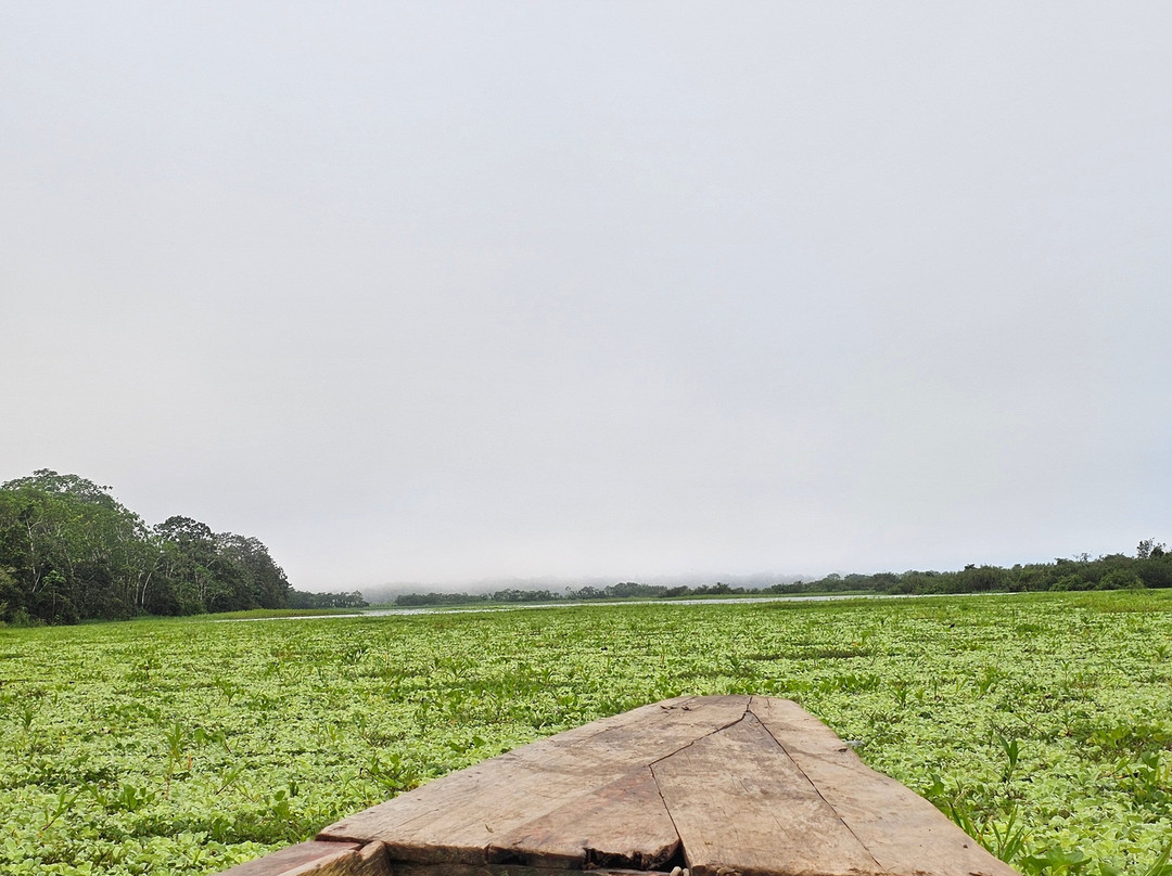 Amazon Travel Expedition explorer-伊基托斯必去景点