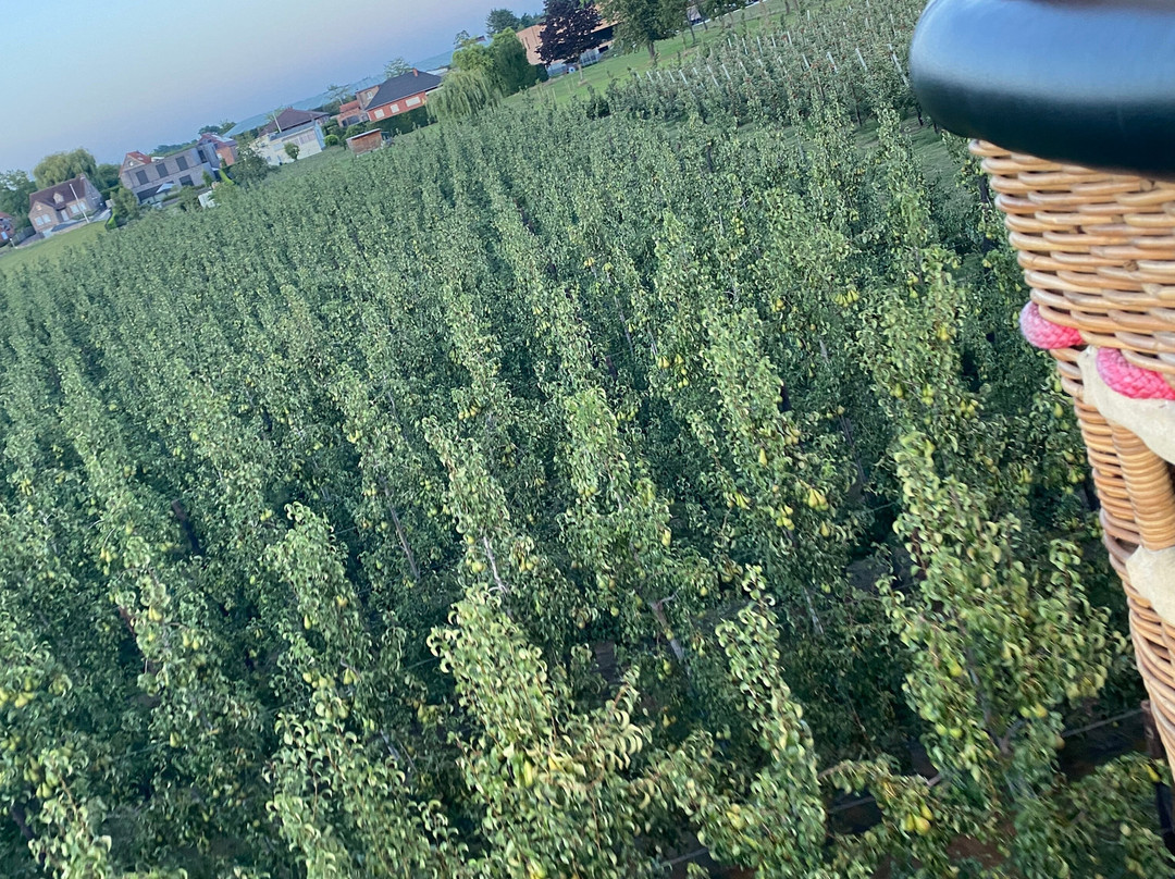 C-Air Ballonvaart-圣尼古拉必去景点