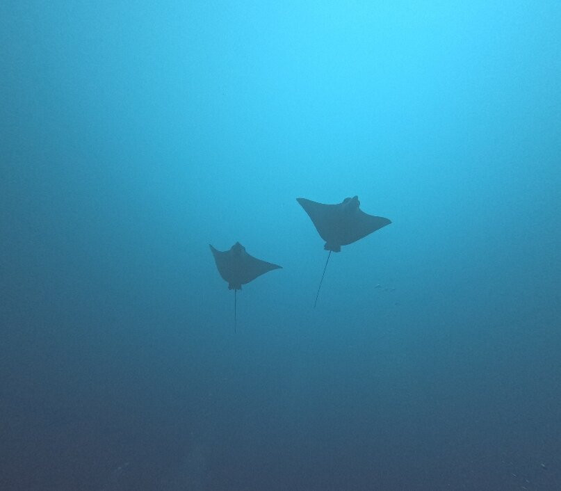 Scuba Butler Fuvahmulah-Fuvahmulah必去景点