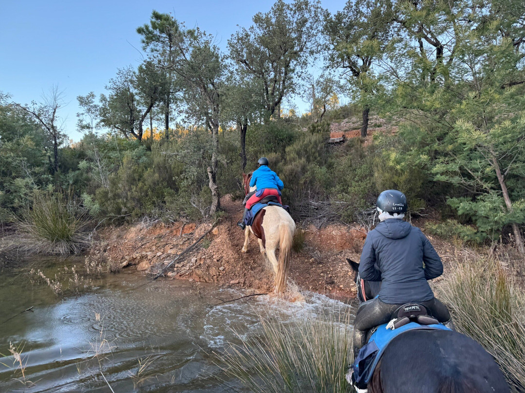 Aventure cheval. Randonnées à cheval-La Crau必去景点