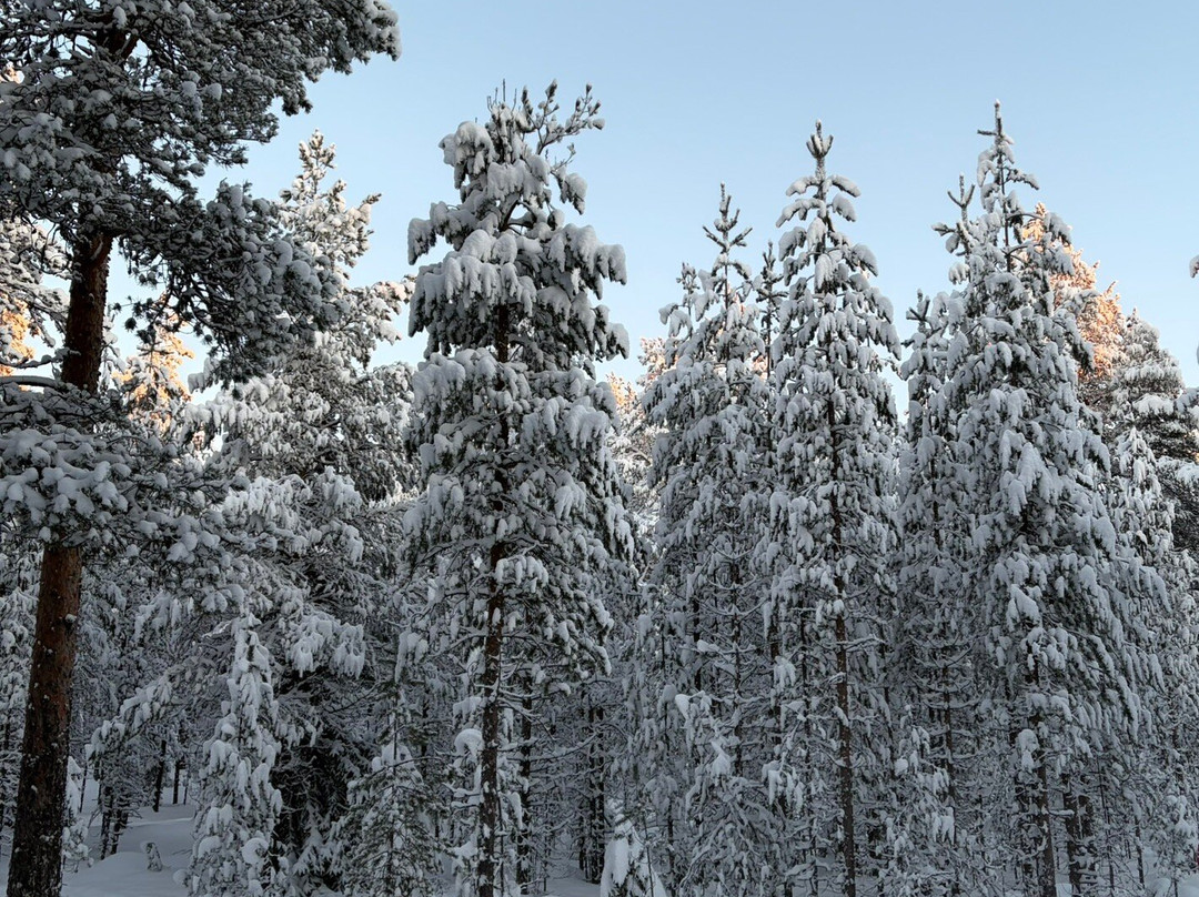 Ounasvaara Winter Trail-罗瓦涅米必去景点