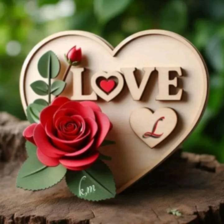 Big Bite Pizza Fried Chicken