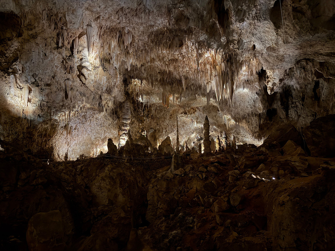 Bottomless Pit-卡尔斯巴德洞穴国家公园必去景点