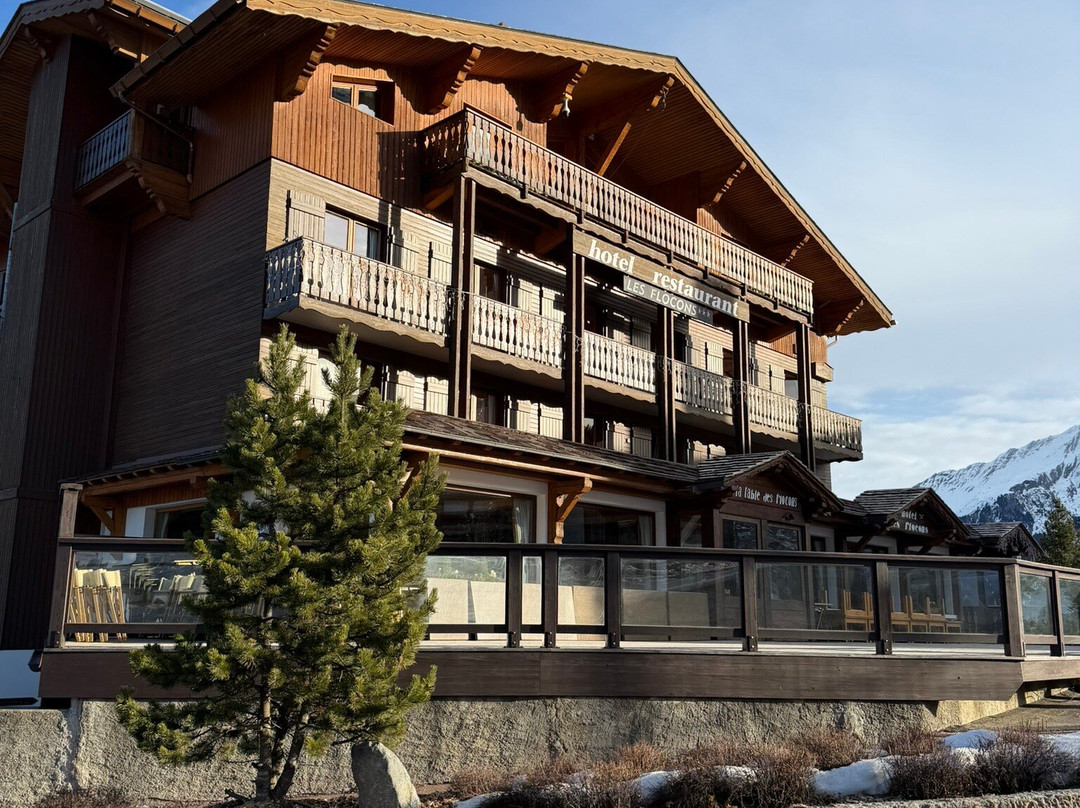 Hôtel Les Flocons主图