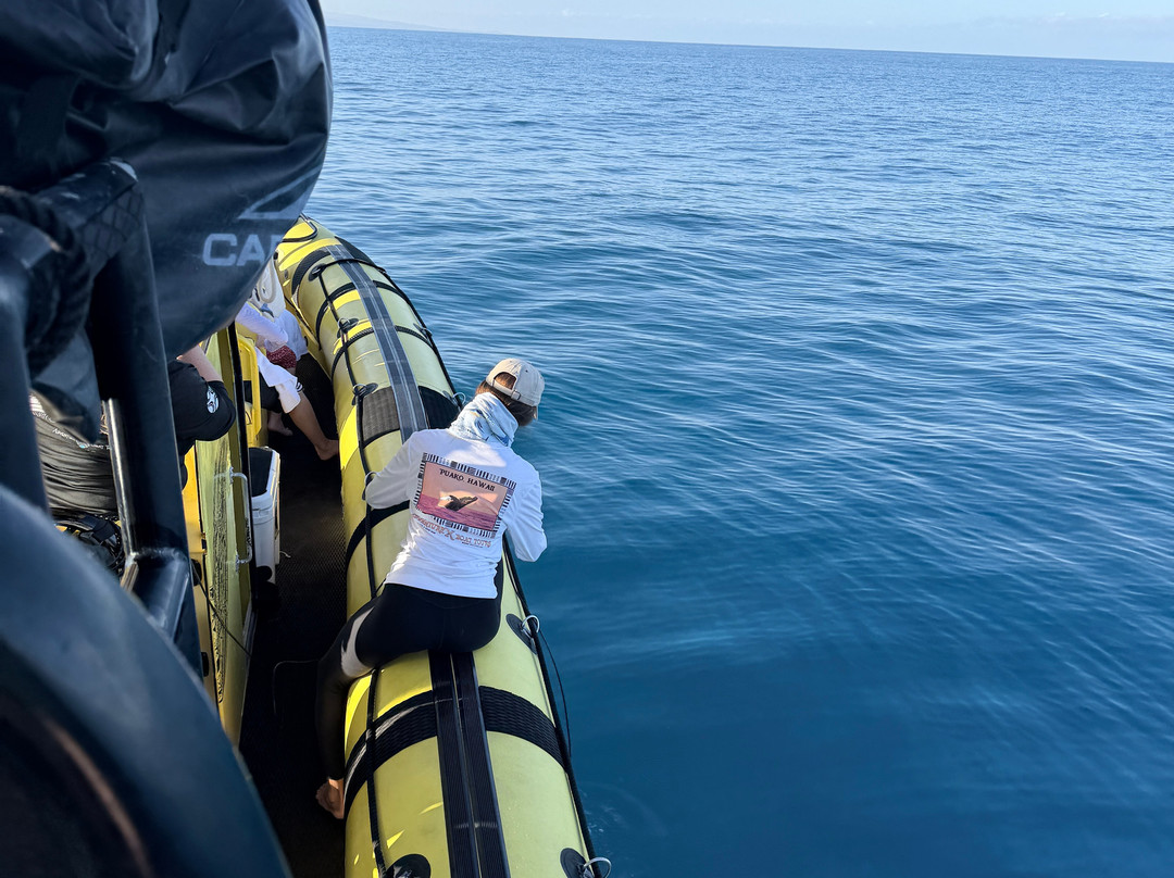 Adventure X Boat Tours-卡慕也拉必去景点