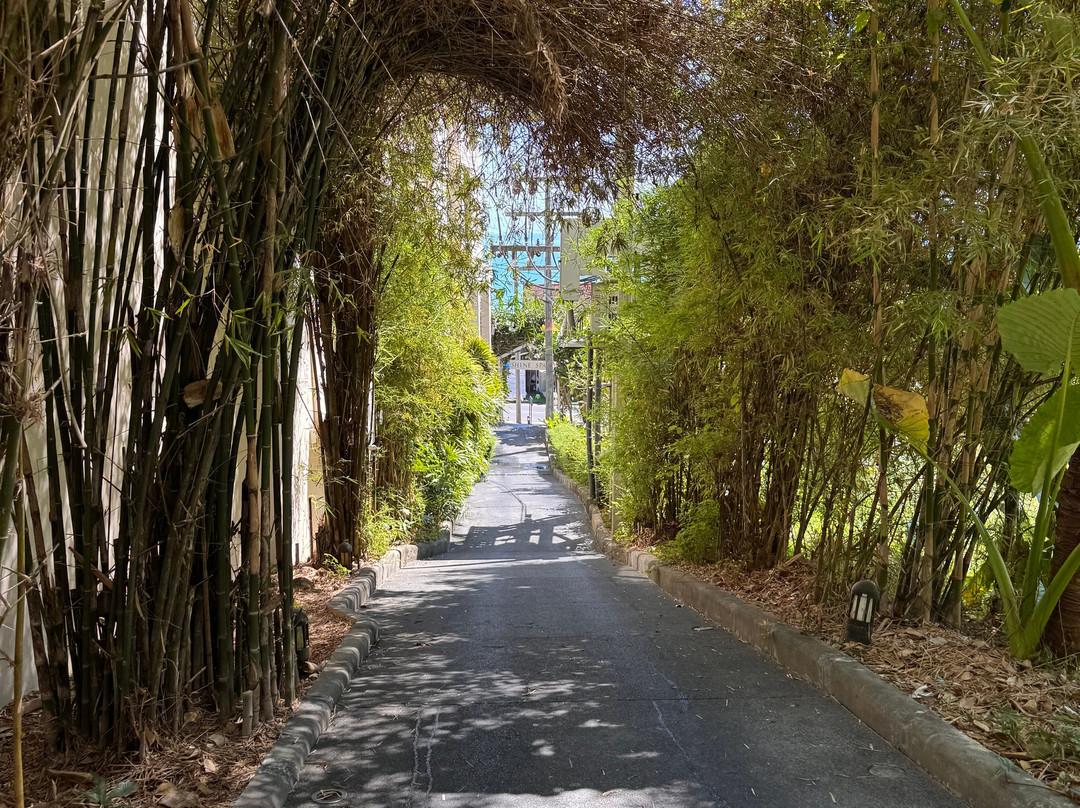 Shine Spa Phuket-攀瓦角必去景点