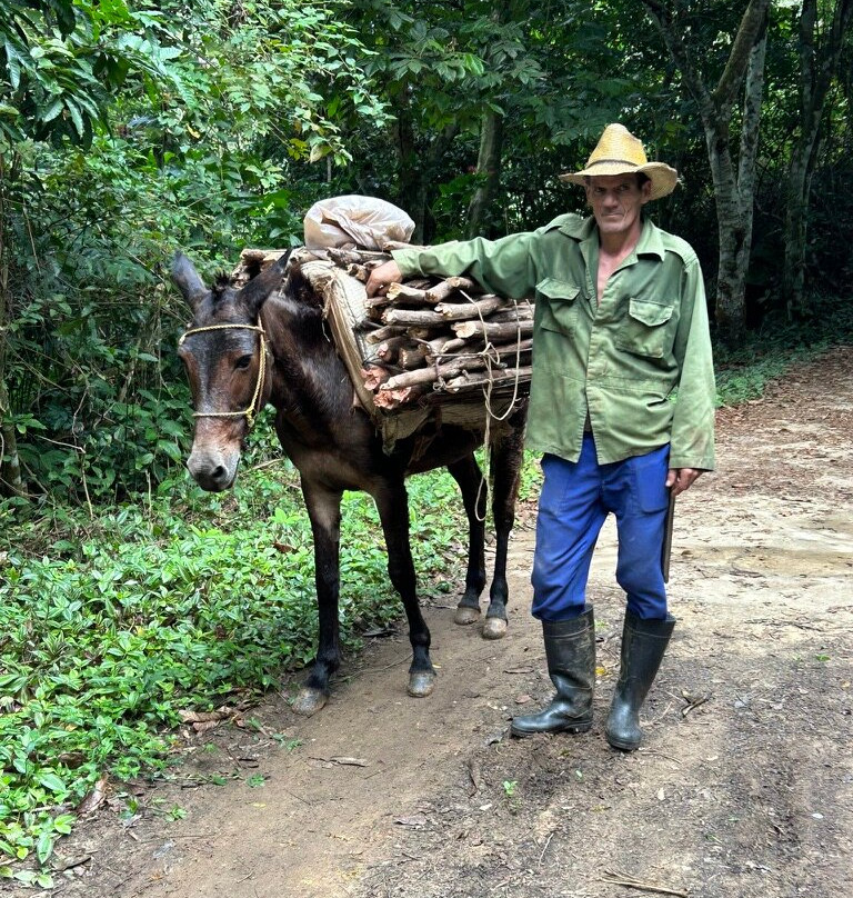 Cuba Travel Adventures Group-Tiburon必去景点