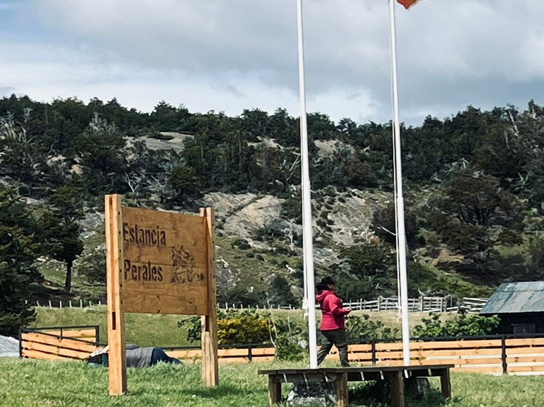 Channel of Last Hope (Ultima Esperanza)-纳塔莱斯港必去景点