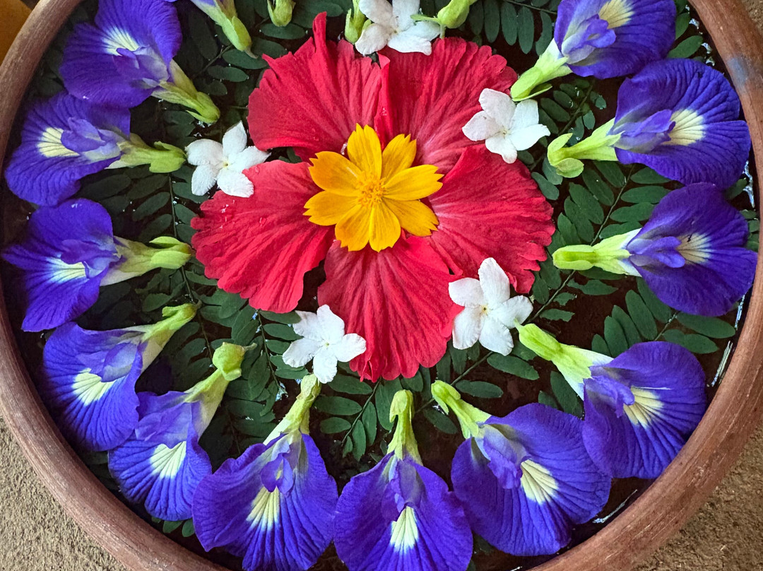 Ulpotha Yoga Retreat & Ayurveda Resort-Ulpotha Village必去景点