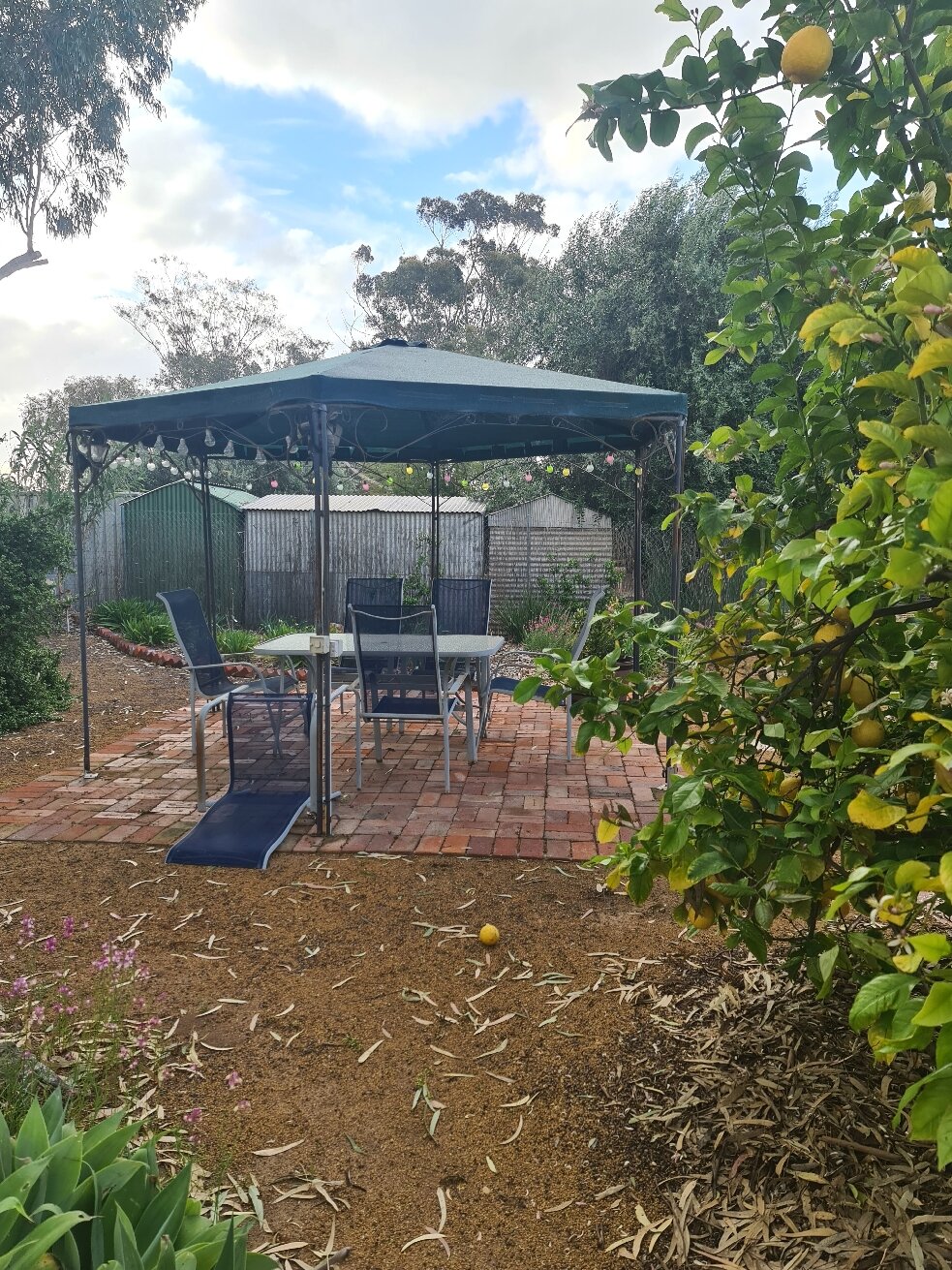 Beverley Bed & Breakfast-官方