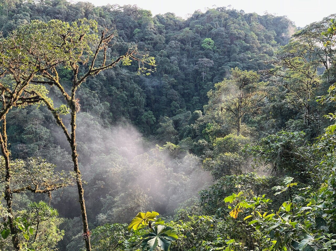 Choco Toucan Reserve-San Miguel de los Bancos必去景点