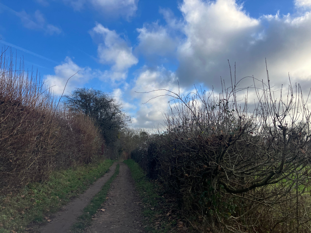 Ightham Mote Estate Walking Trails